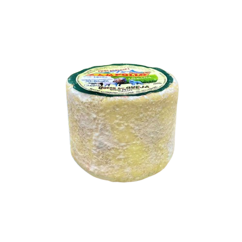 Queso Campollo Oveja