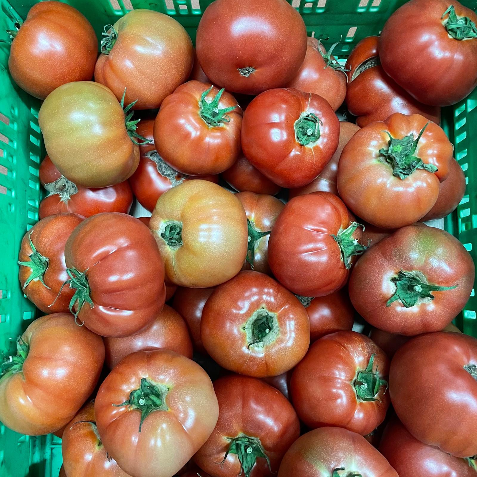 Tomate de Cantabria