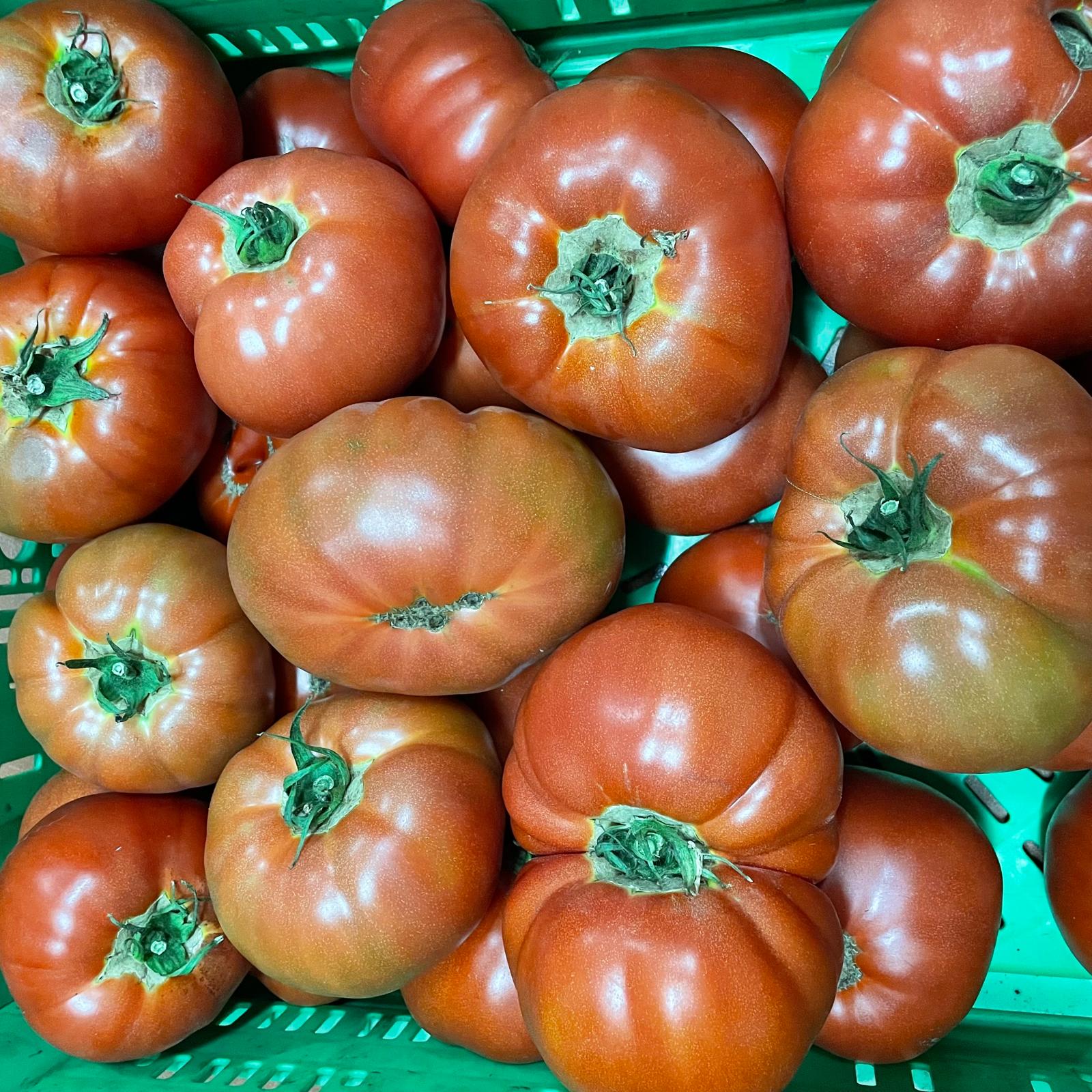 Tomate de Cantabria
